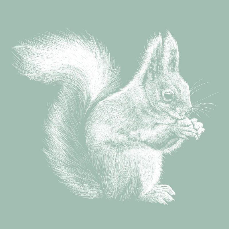 Eichhörnchen