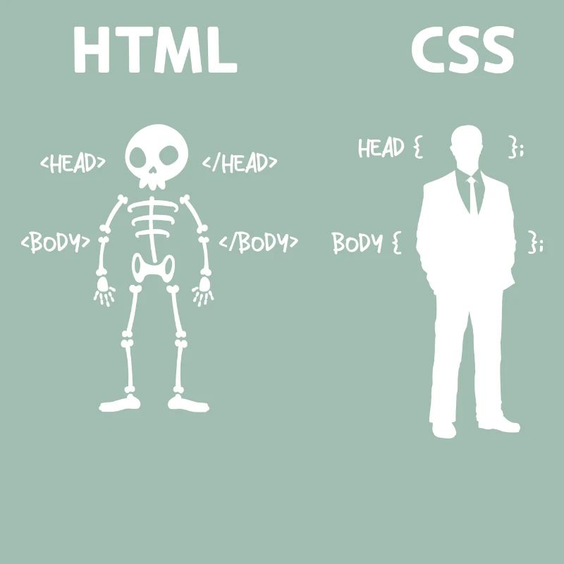 Code Css C++ Php Java Developer Code Skripting