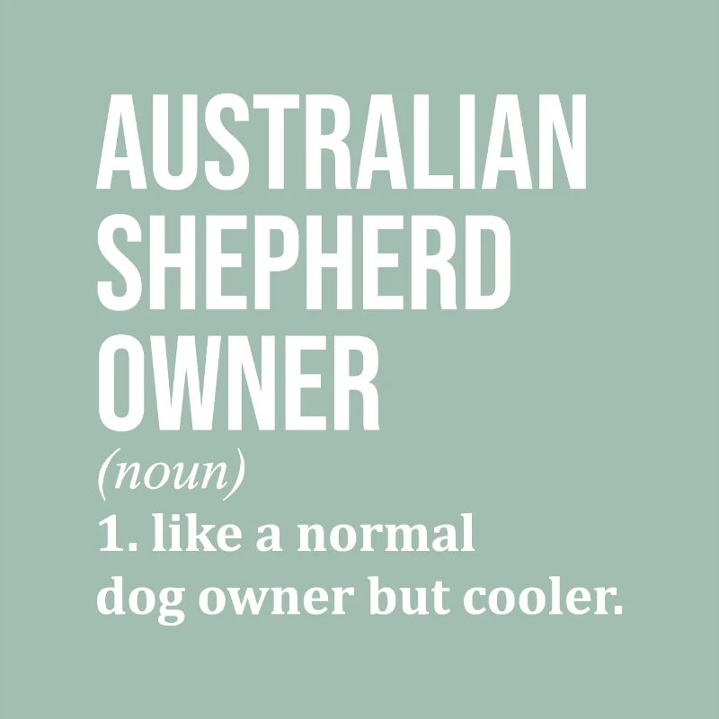 Australian Shepherd 