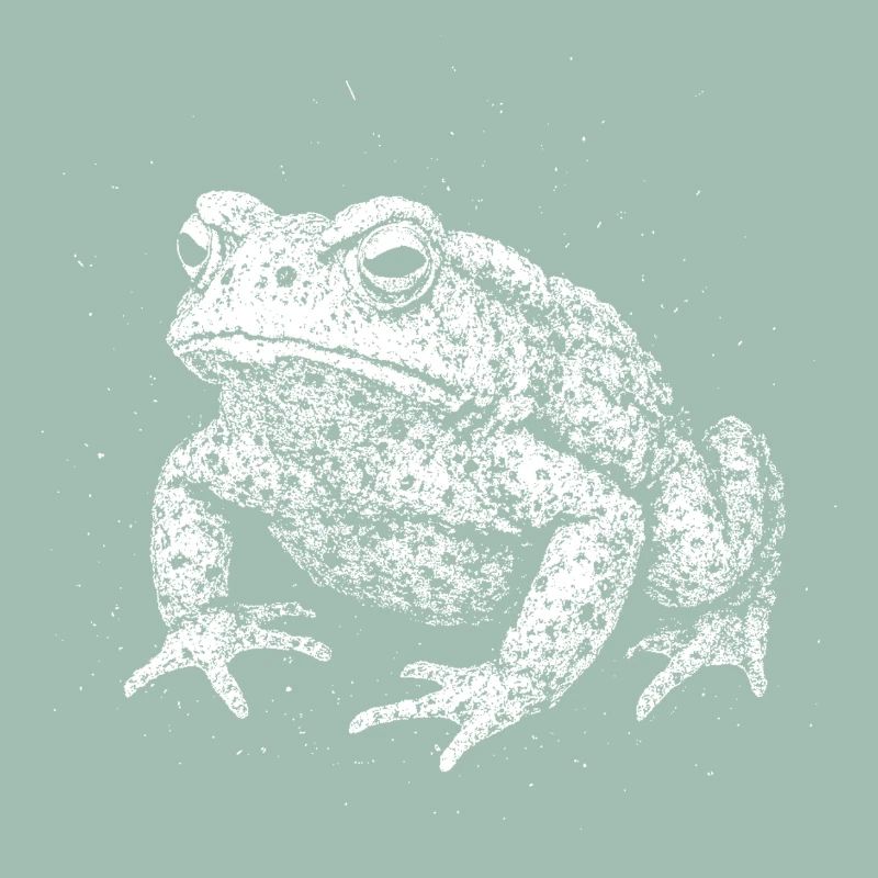 Crapaud