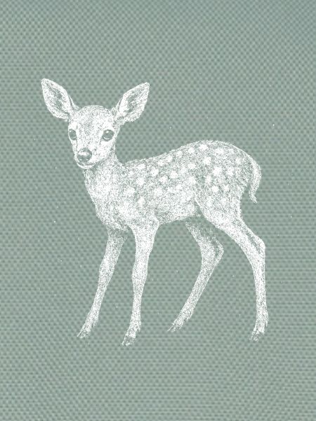 Fawn