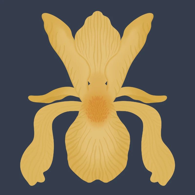 Floraison d’Iris doré