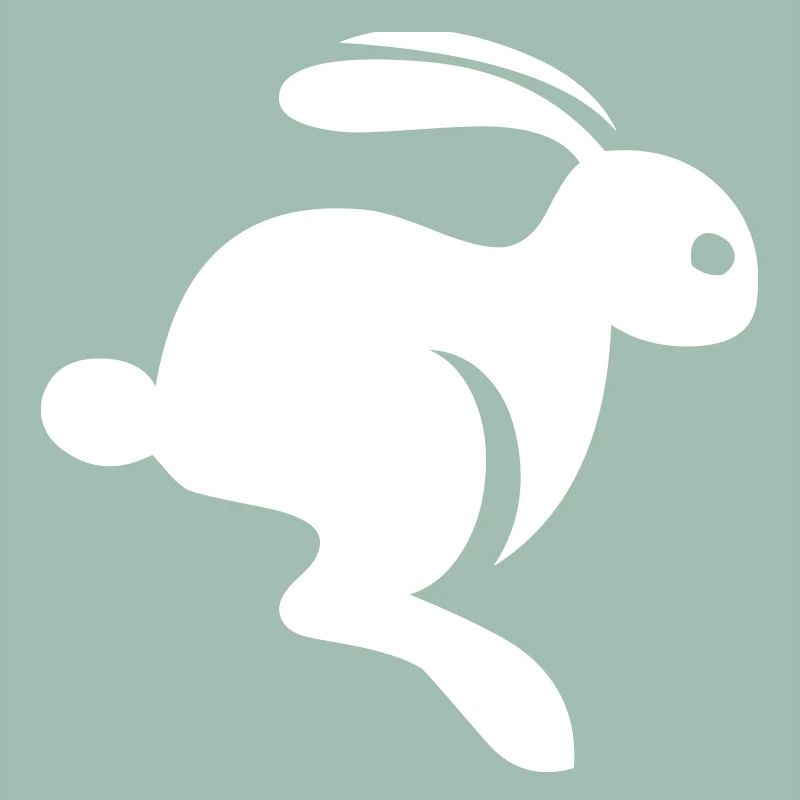 An adorable rabbit
