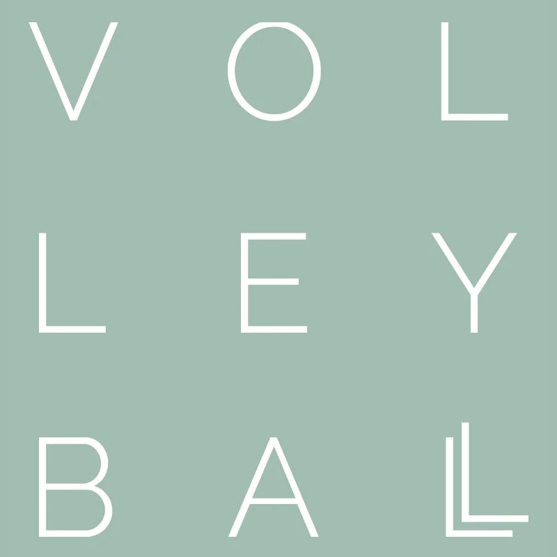 volleyball icon Logo icon idea font Vector
