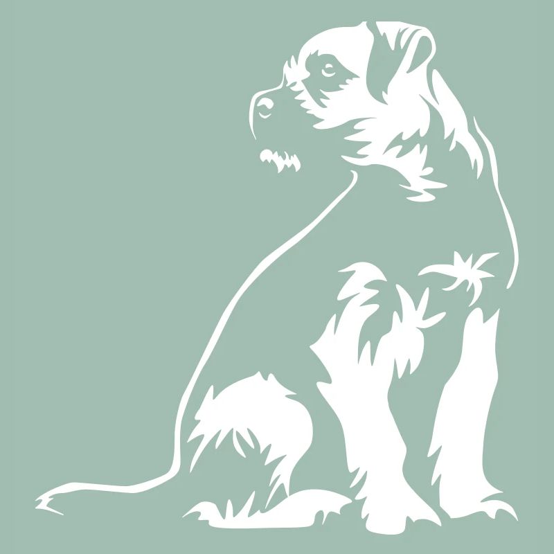 Border Terrier « Édition noire »