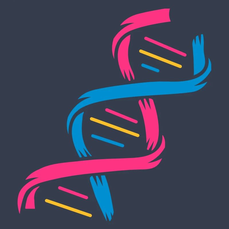 Die Struktur eines DNA-Moleküls