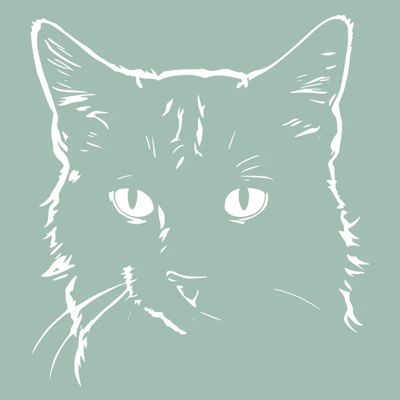 Katze 4