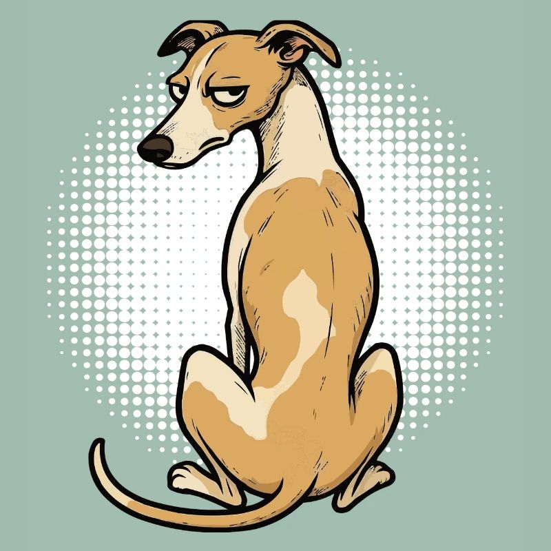Whippet Greyhound Whippets Propriétaire de lévrier