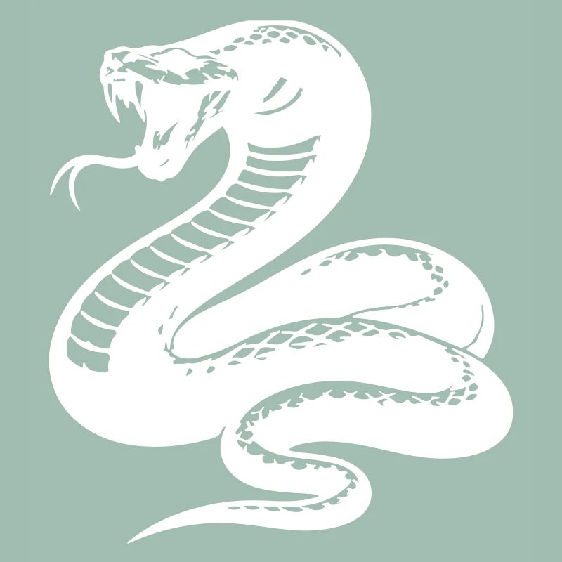 Silhouette du python serpent