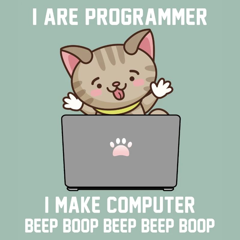 Programmeur