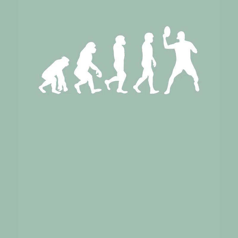 Discgolf Evolution