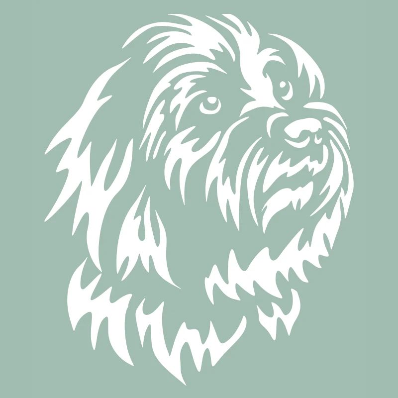 Coton de Tuléar Head « Black Edition »
