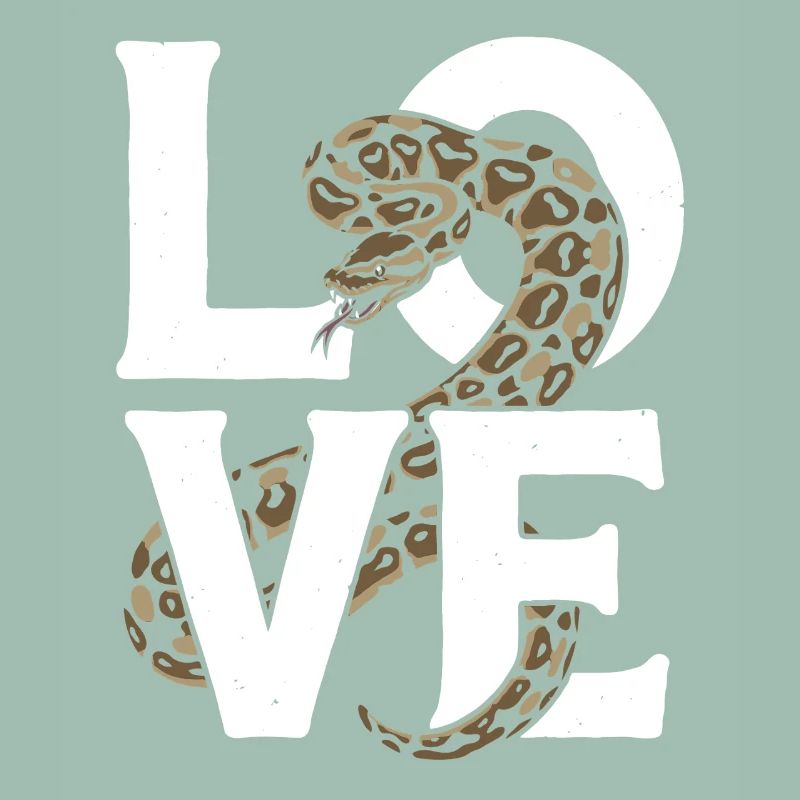 Les serpents rois Python ADORENT les pythons de terrarium