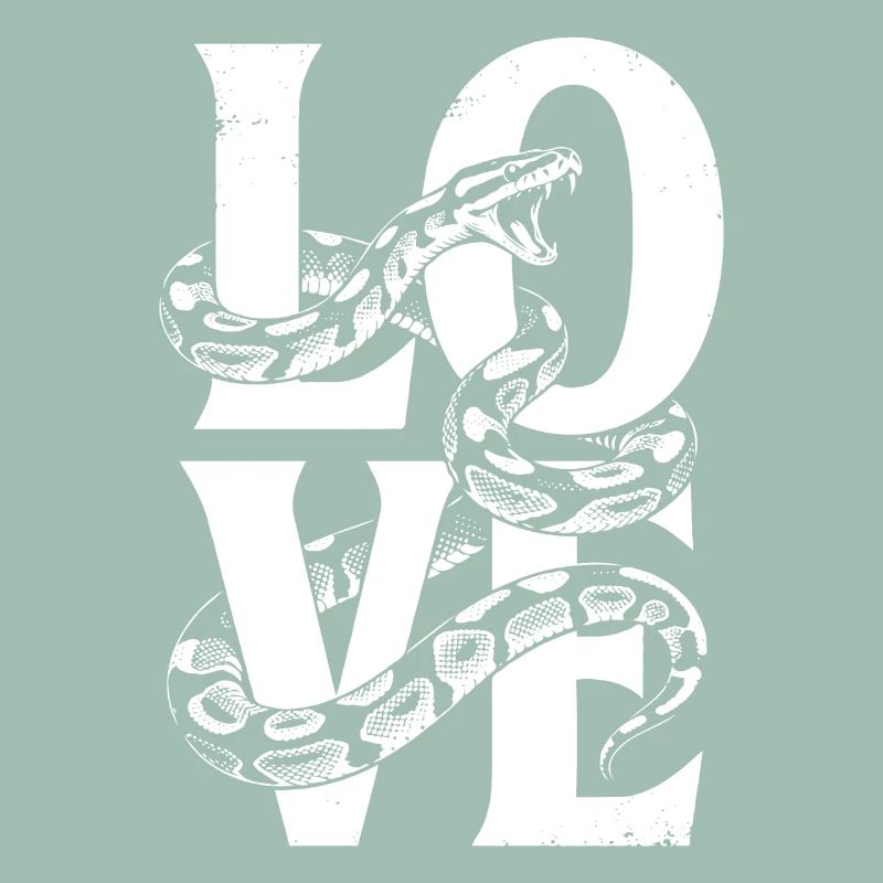 King Python Snakes LOVE Terrarium Python