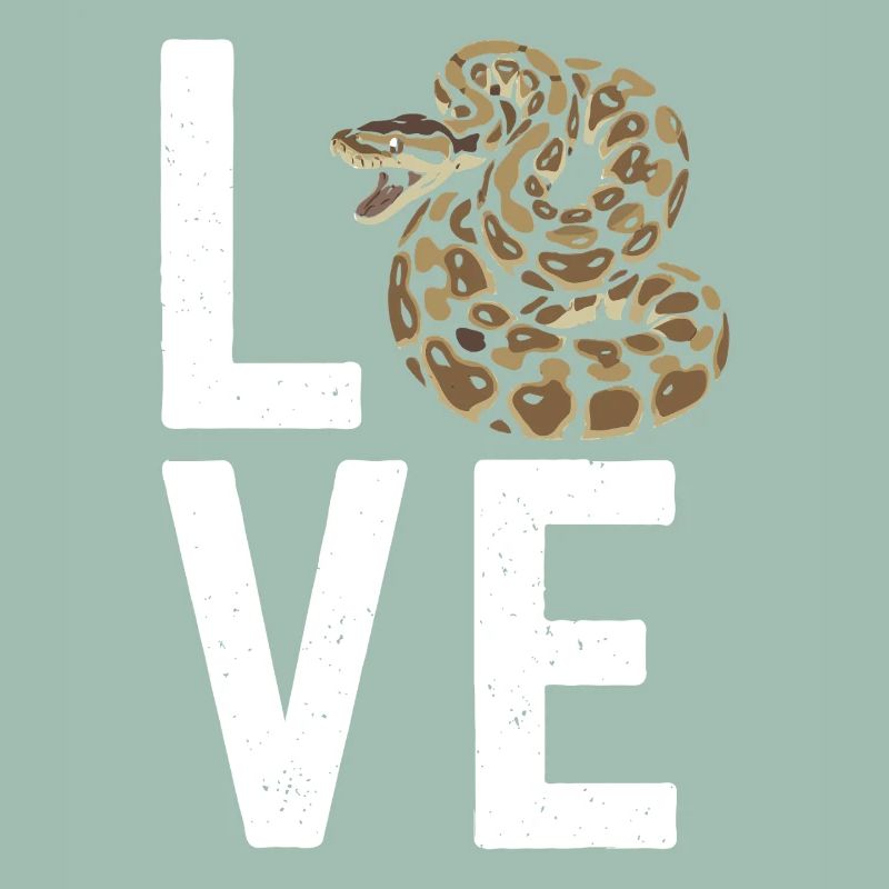 Les serpents rois Python ADORENT les pythons de terrarium