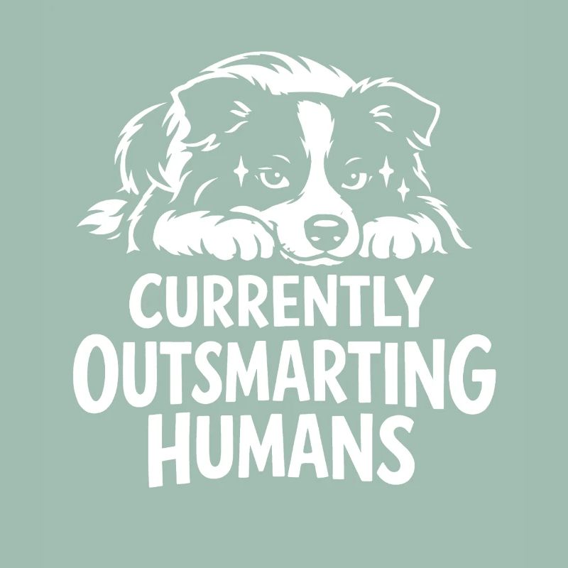 Plus intelligent que toi | Expression du Border Collie