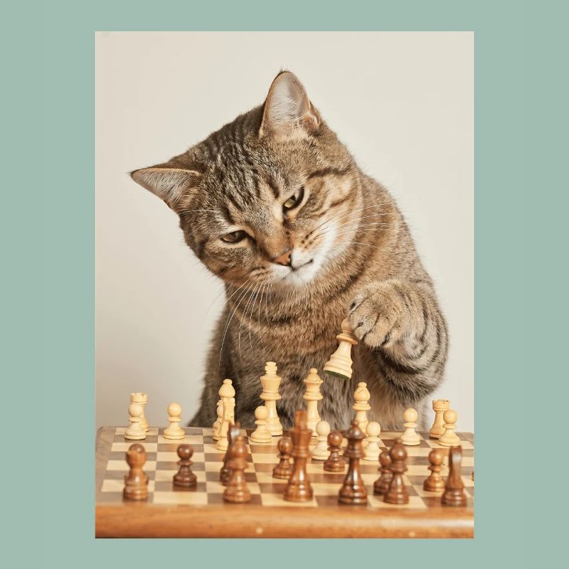 Cat playing chess