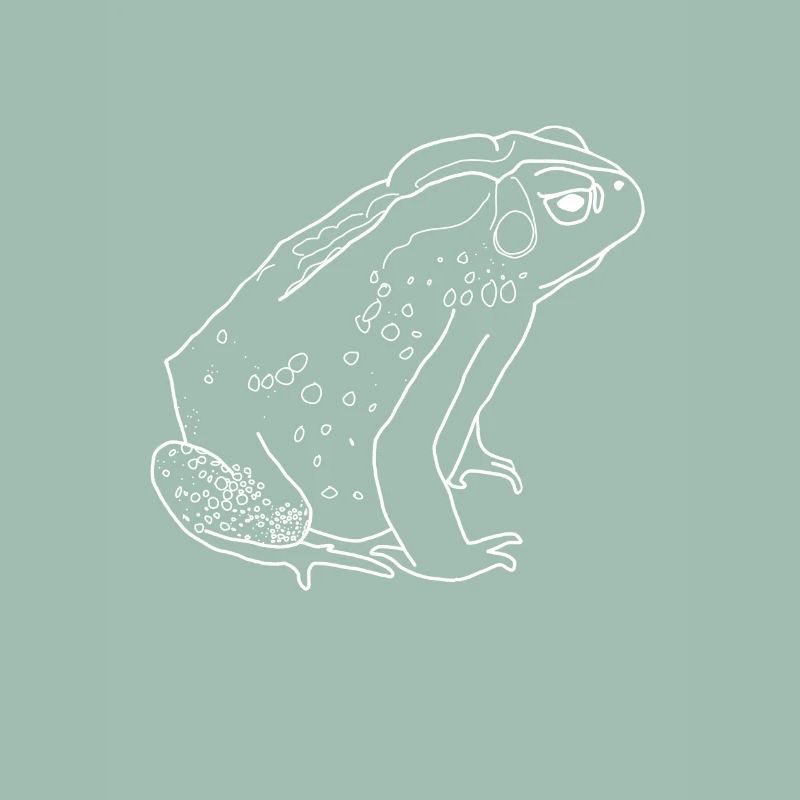 crapaud