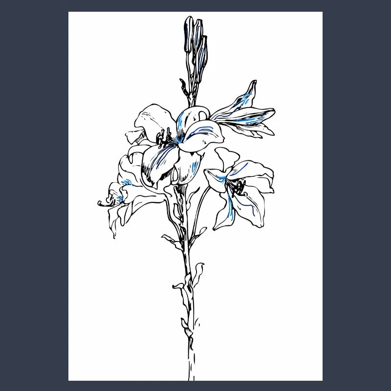 Lys bleus