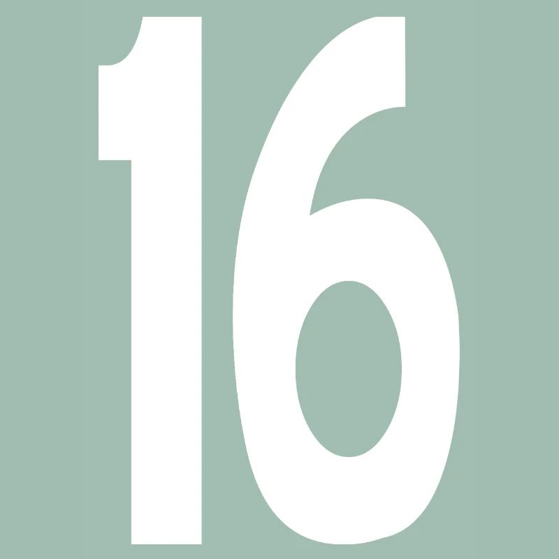 16 Seize