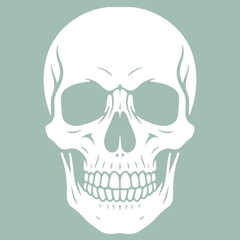 Skull Silhouette Graphic