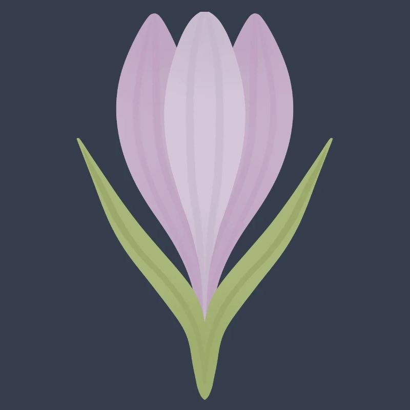 Lilac Crocus Bloom Illustration