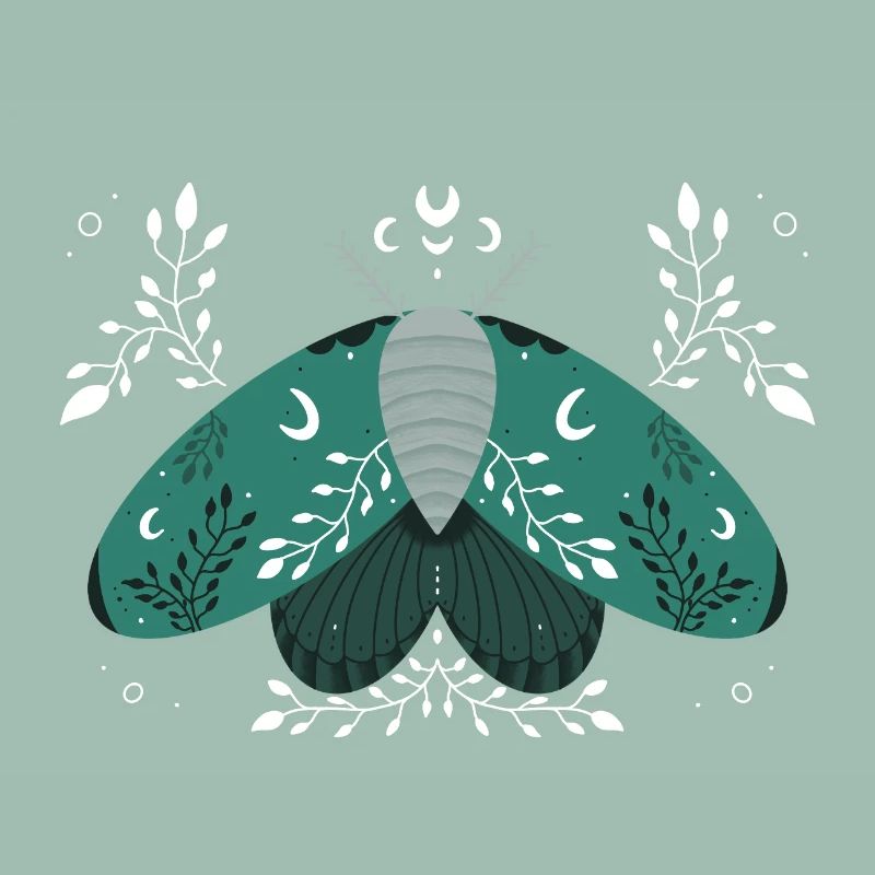 Papillon de nuit vert avec feuillage