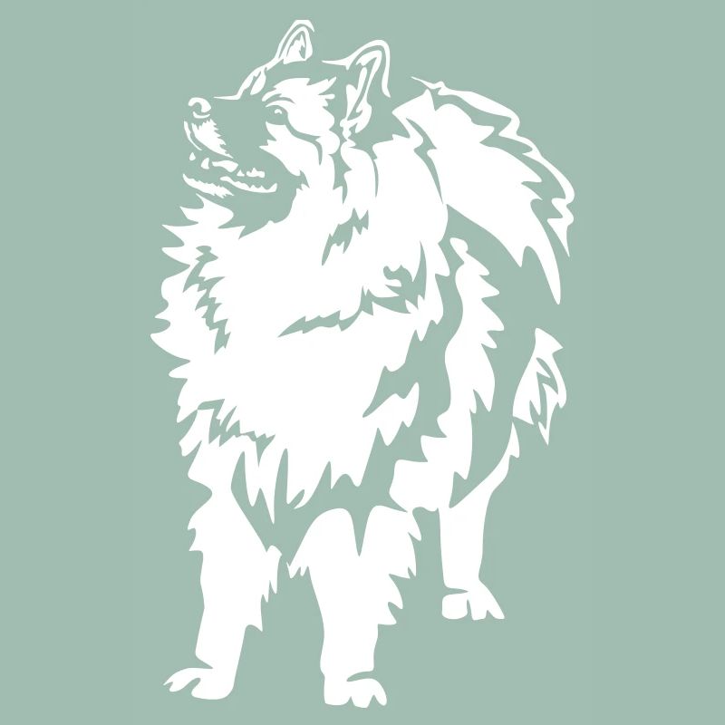 Wolfsspitz "Black Edition"