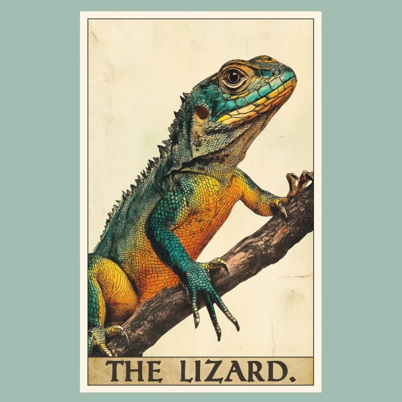 Lizards Lizard