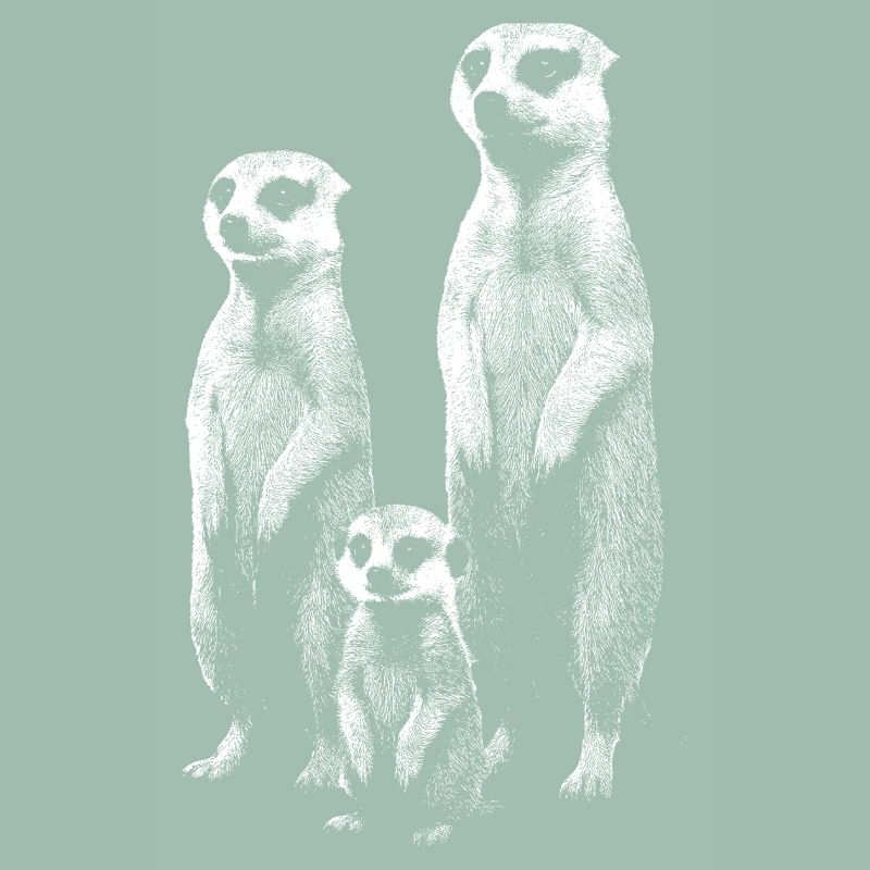 Erdmännchen hell