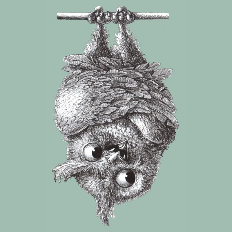 Vampire Owl - Dracula Owl
