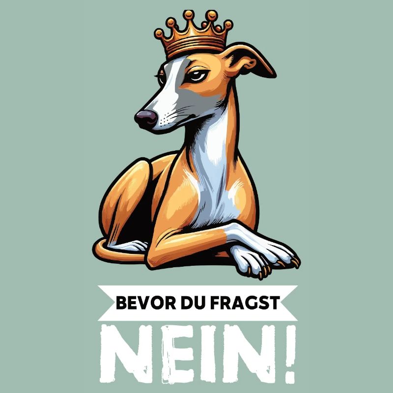 Before You Ask Whippet Greyhound Whippets