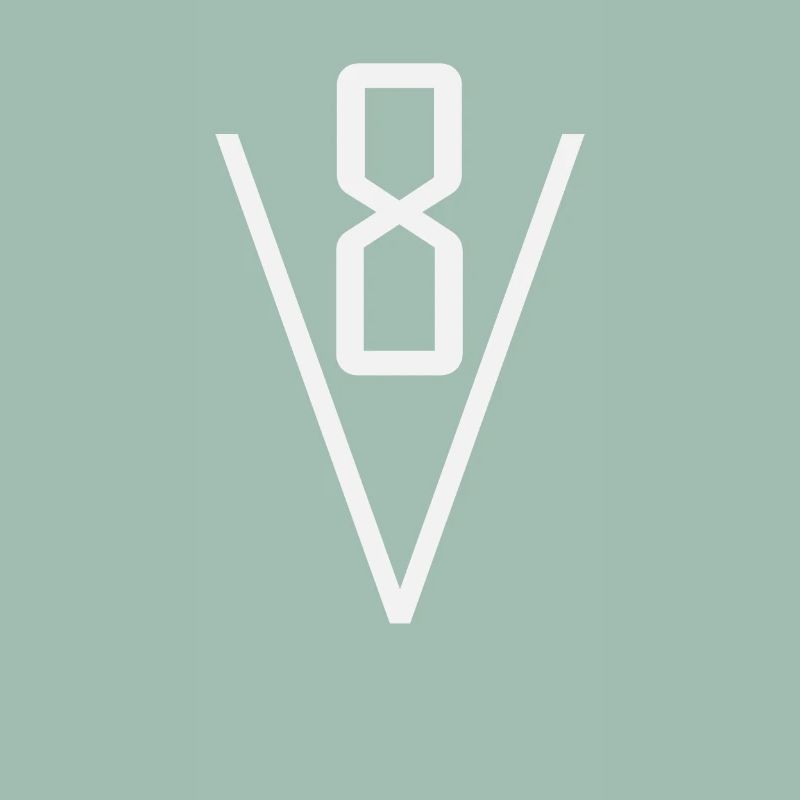 V8 Motor