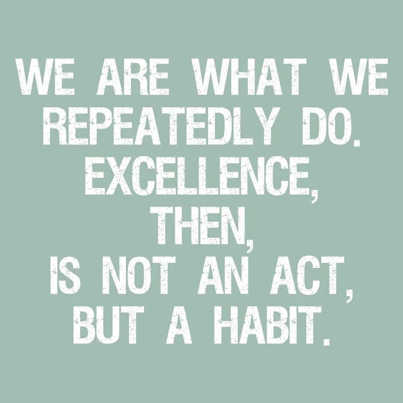 we are what we repeatedly do excellence then is