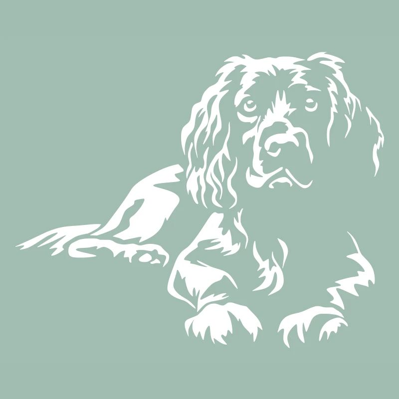 Boykin Spaniel "Black Edition"