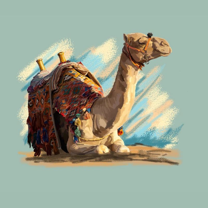kamel