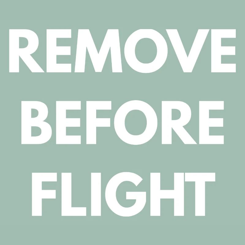 REMOVE BEFORE FLIGHT