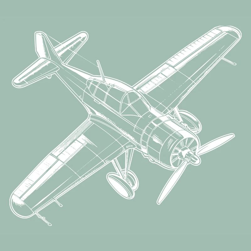 Propeller plane