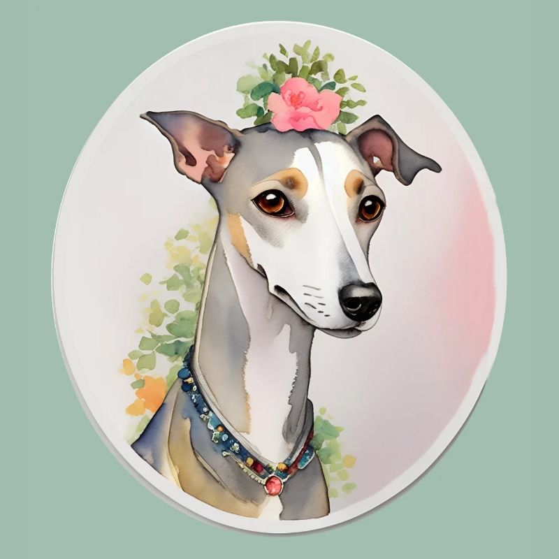 Whippet