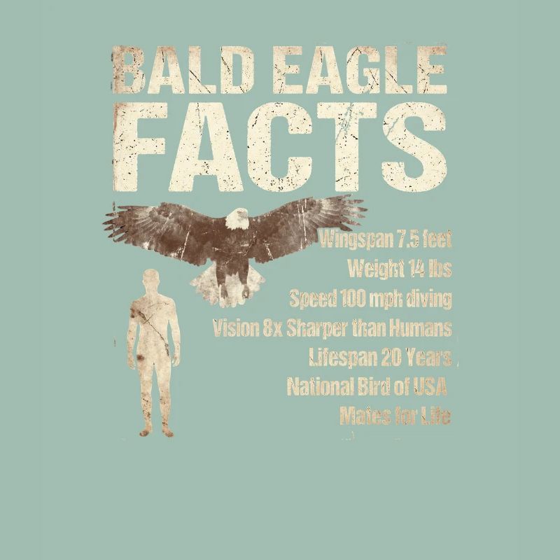 Bald Eagle Facts Bald Eagle Info