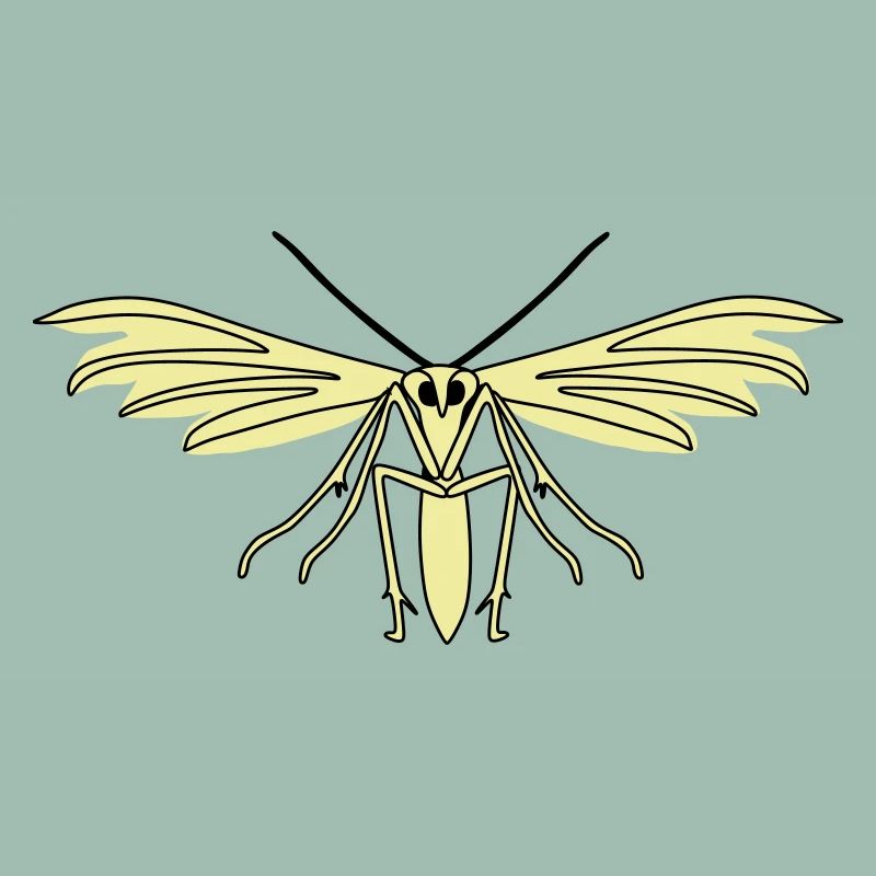 Feather moth