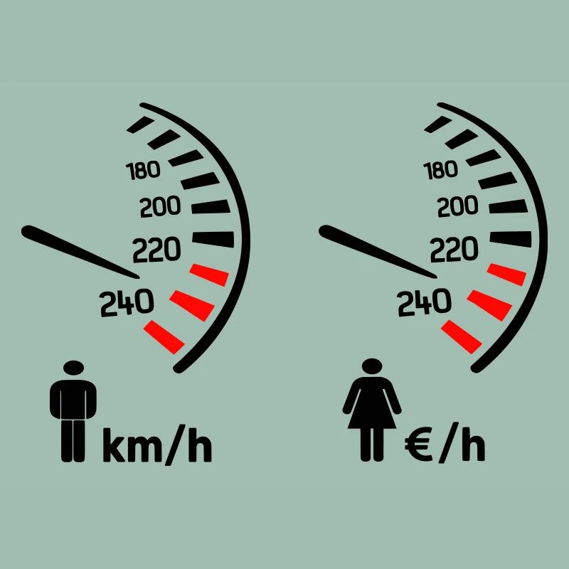 Speedometer km/h and expense meter