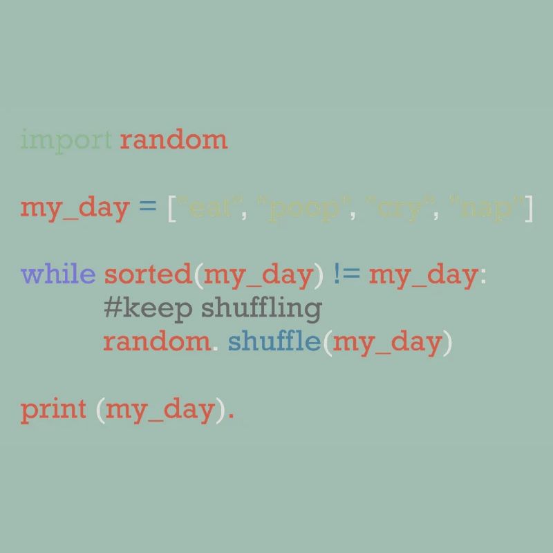Funny python code about everyday life, baby