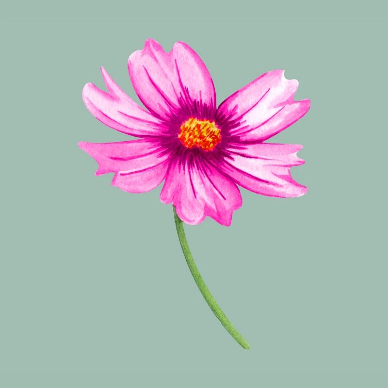 Blume