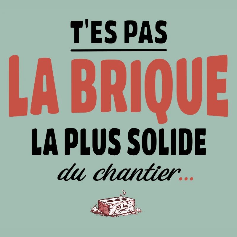 T’es pas la brique la plus solide du chantier