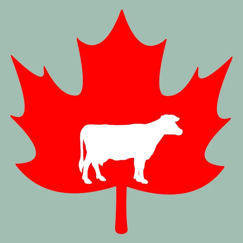 Canada maple leaf cow logo