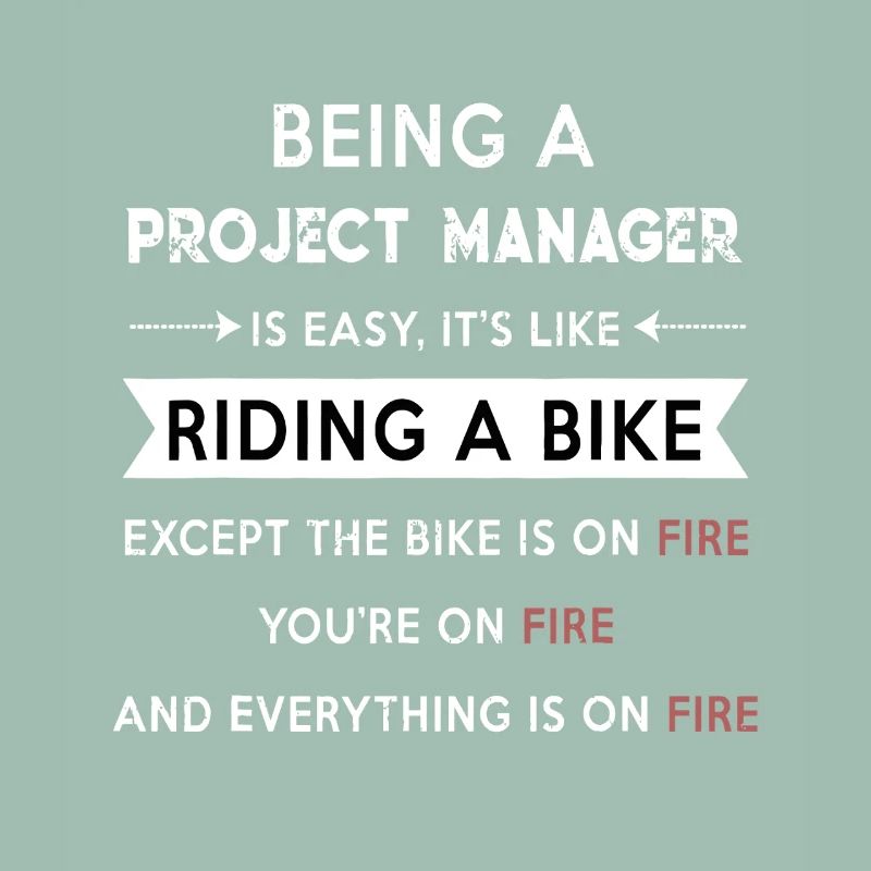 Project Manager on Fire
