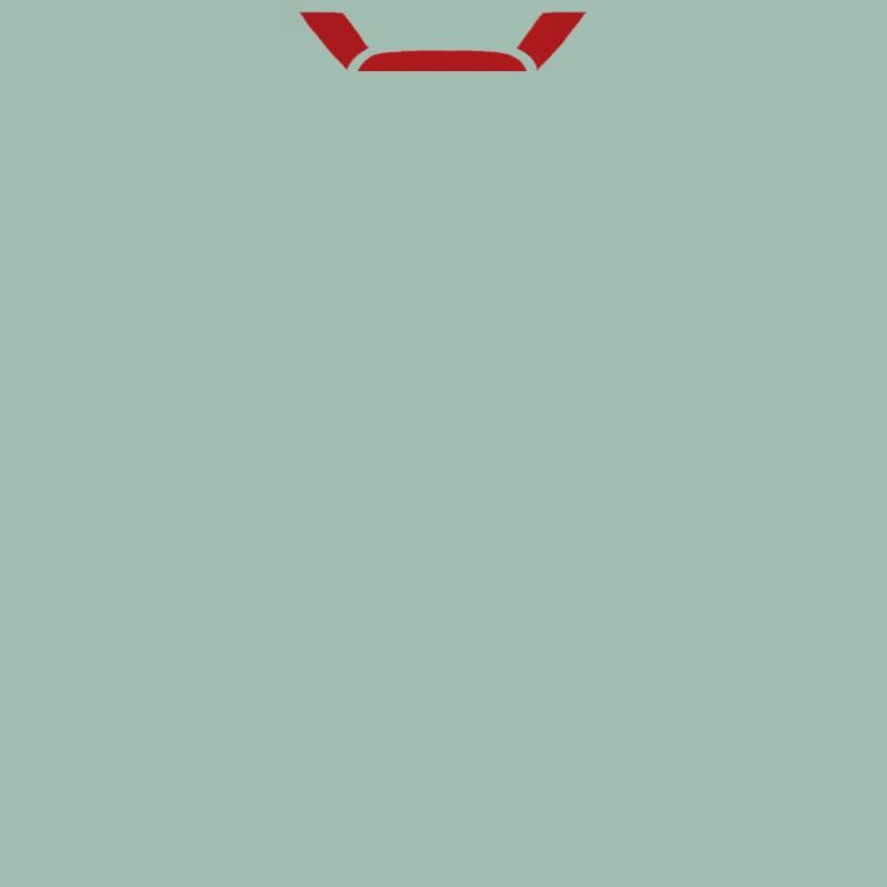 Schweizer Krawatte – Flaggendesign