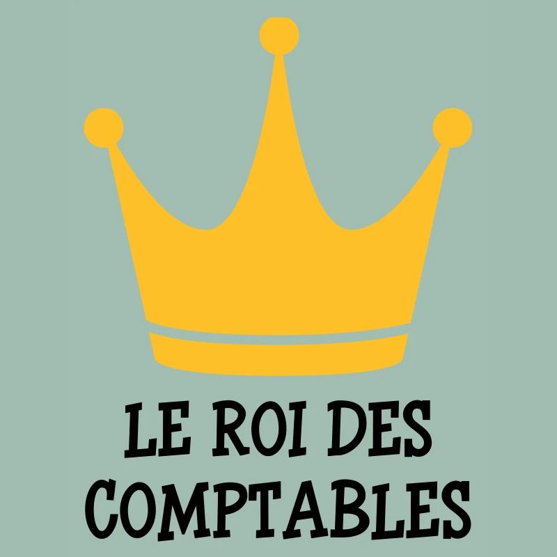 comptable / comptabilité / argent / Finance / Euro