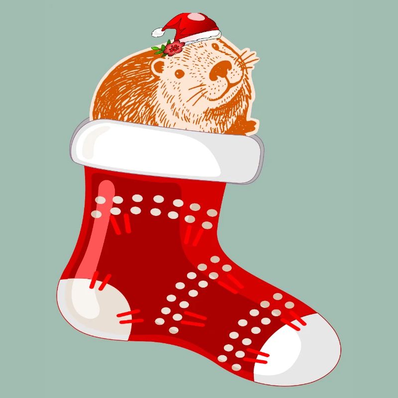 WEIHNACHTSMANN WEIHNACHTSSTRÜMPFE CAPYBARA